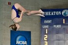 Maddy Morrison  Wheaton College Women's diver Maddy Morrison competes against Babson College, January 11, 2020. - Photo By: KEITH NORDSTROM : Wheaton, Swimming, Maddy Morrison